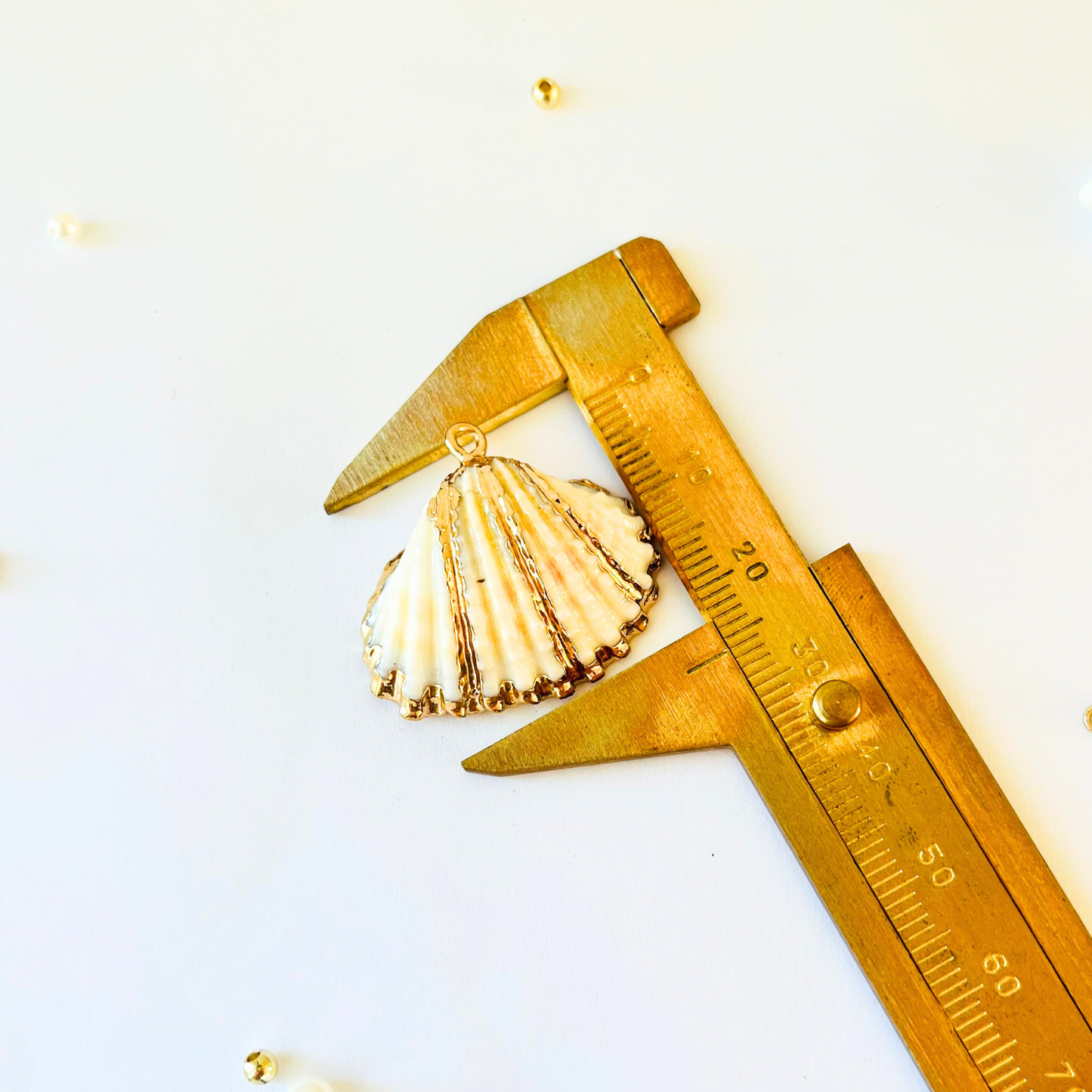 Natural White Cockles Shell Pendant | Gold Edged Charm Pendant
