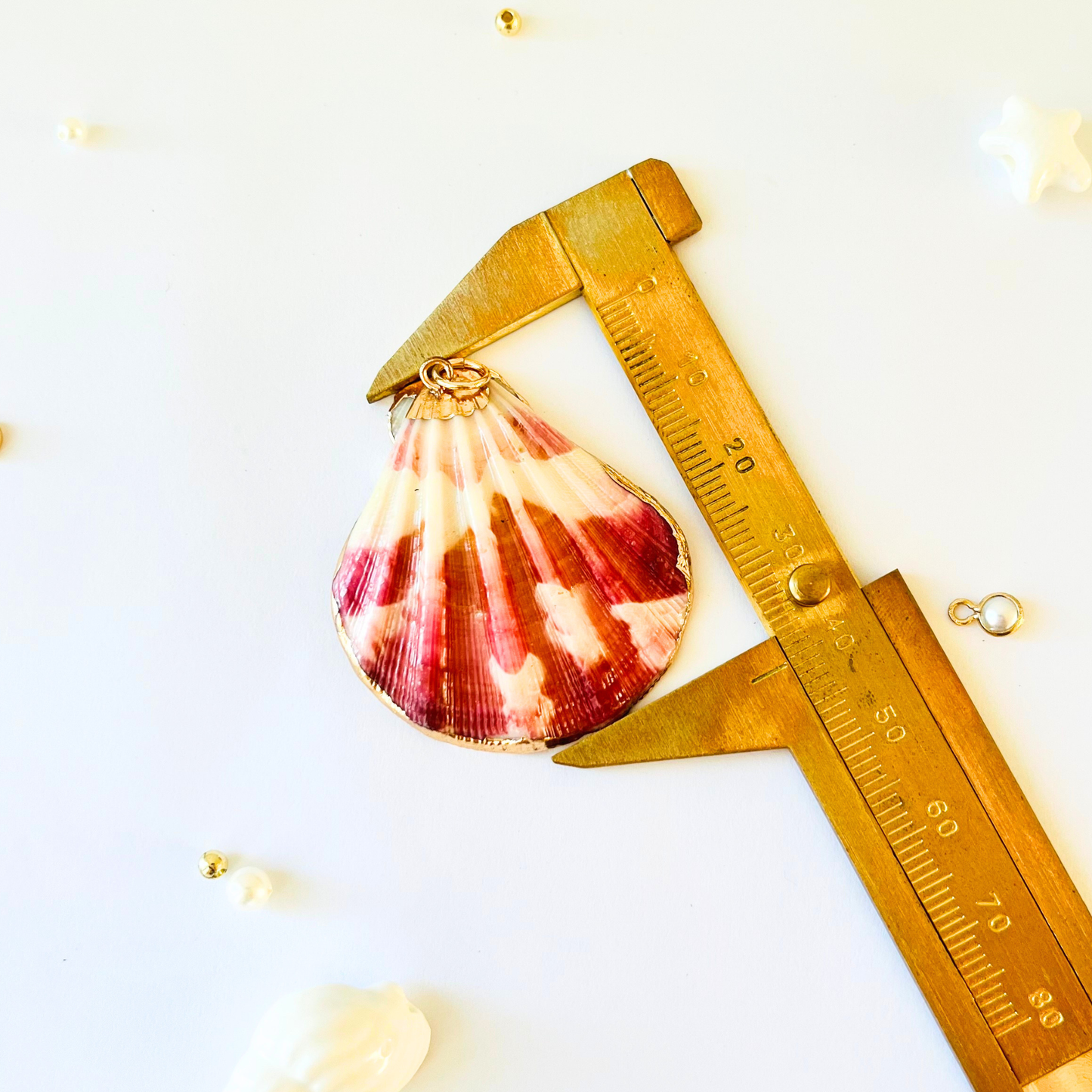 Natural Scallop Shell Pendant | Gold Edged Charm Pendant
