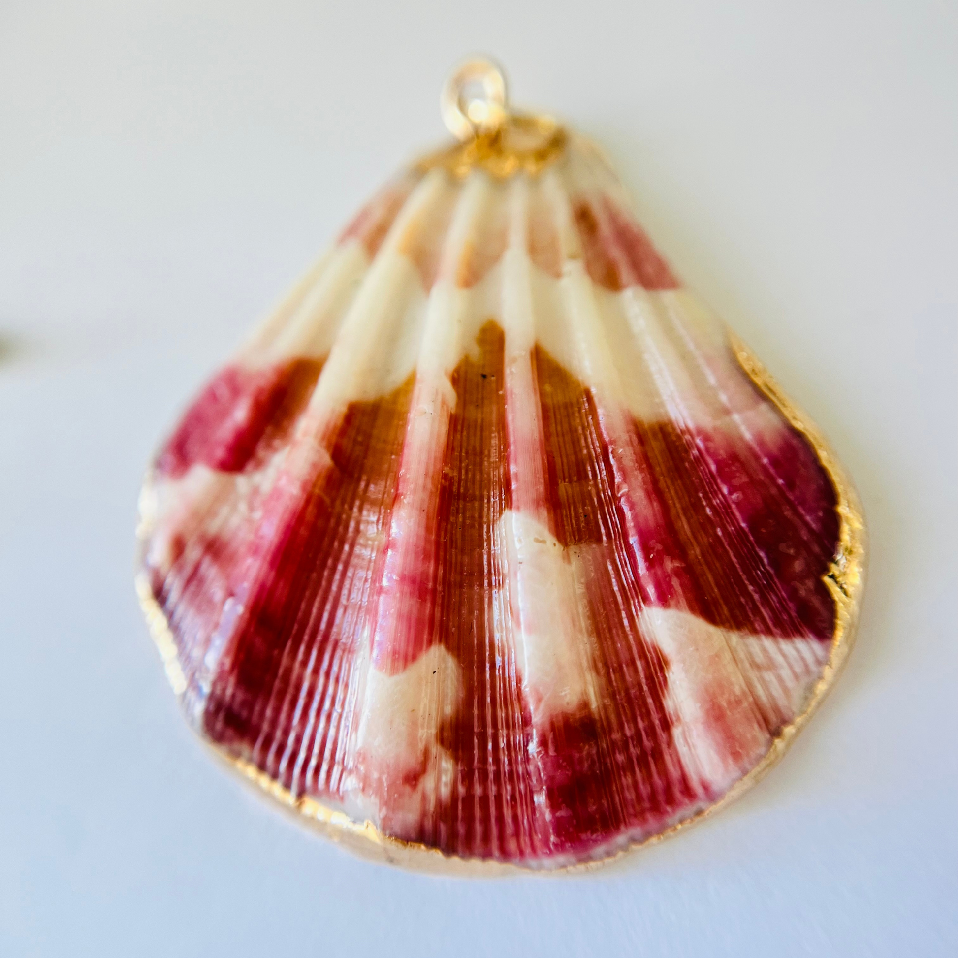 Natural Scallop Shell Pendant | Gold Edged Charm Pendant