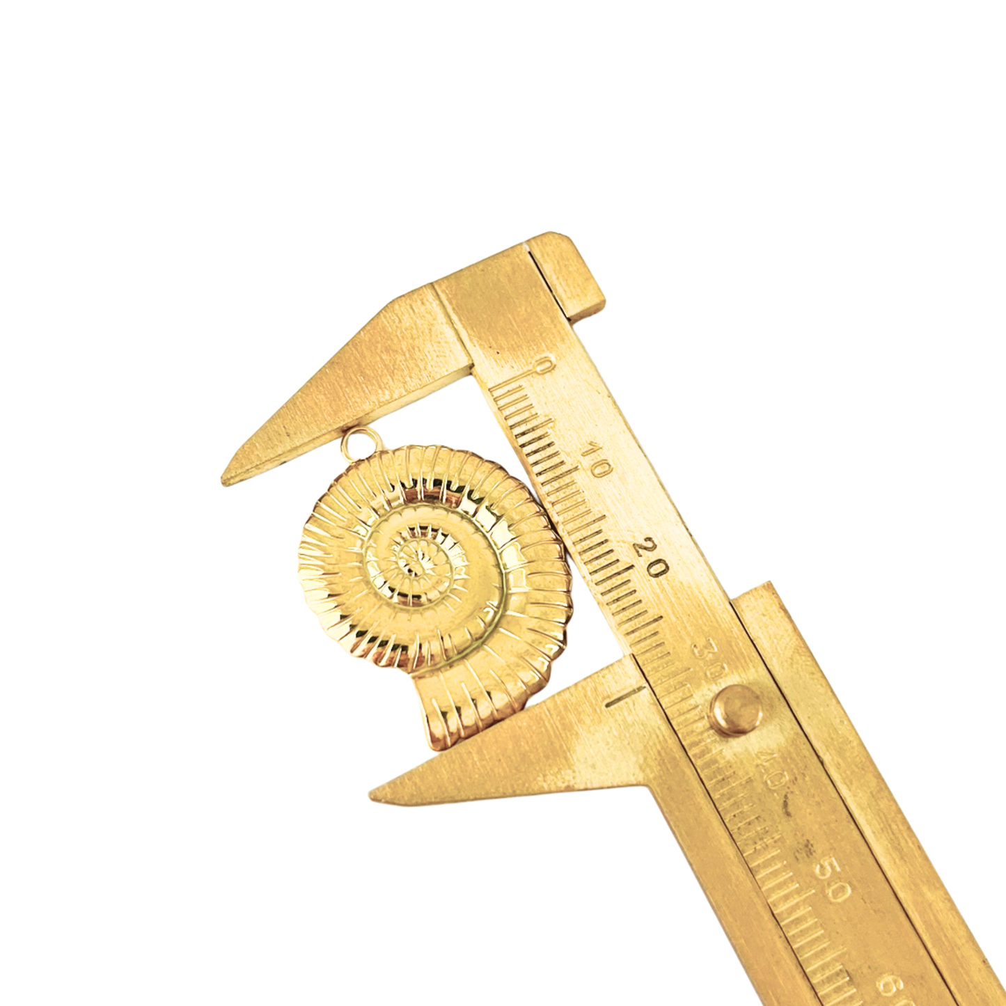 Ocean Treasures | 14K Gold Plated Nautilus Shell Charm | Interchangeable Pendant