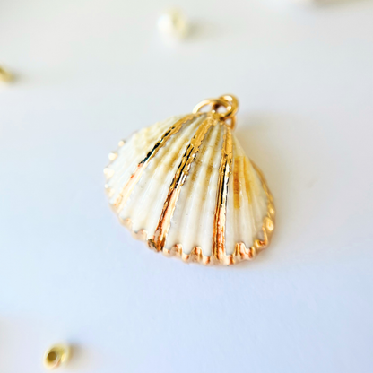 Natural White Cockles Shell Pendant | Gold Edged Charm Pendant